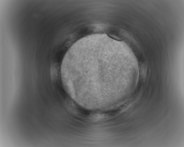 X0000115150276200911241535