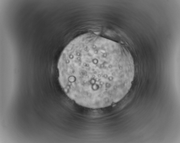 X0000115150277200911241535