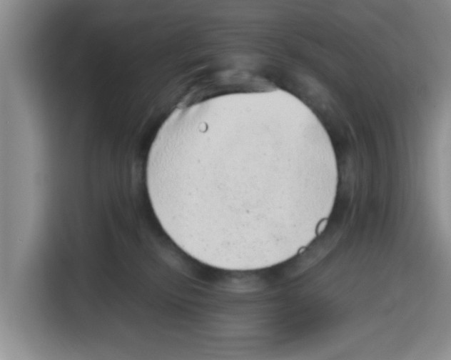 X0000115150278200911241535