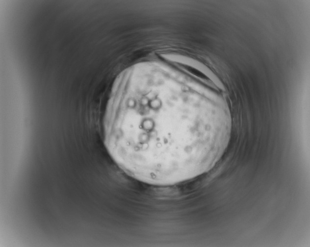 X0000115150281200911241535