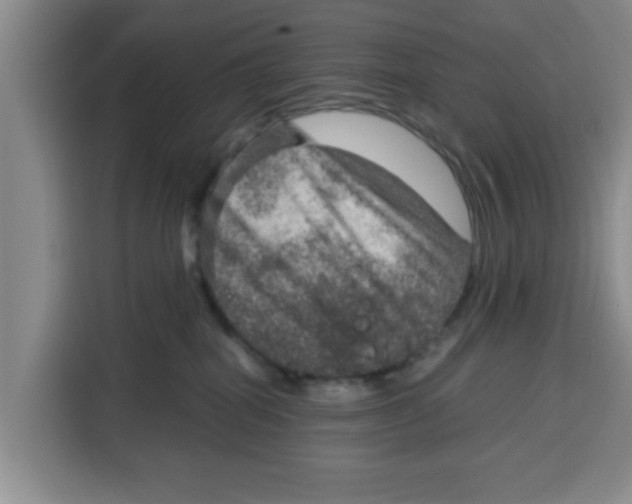 X0000115150282200911241535