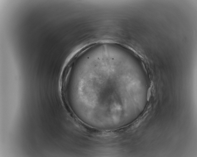 X0000115150292200911241534