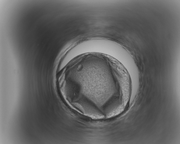 X0000115150293200911241534