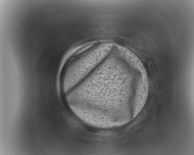 X0000115150294200911241534