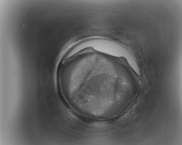 X0000115150296200911241534