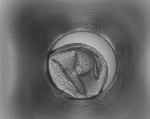 X0000115150297200911241534