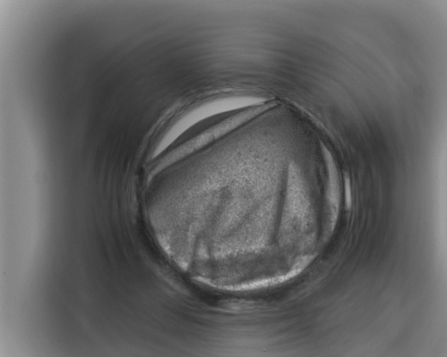 X0000115150300200911241534