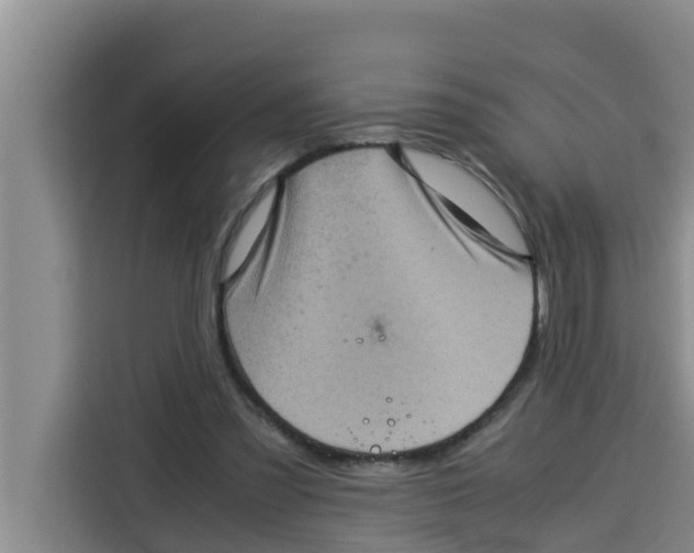 X0000115150301200911241534