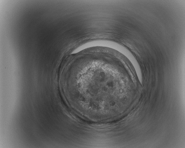 X0000115150303200911241534