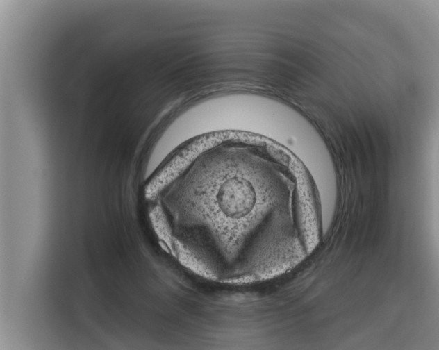 X0000115150304200911241534