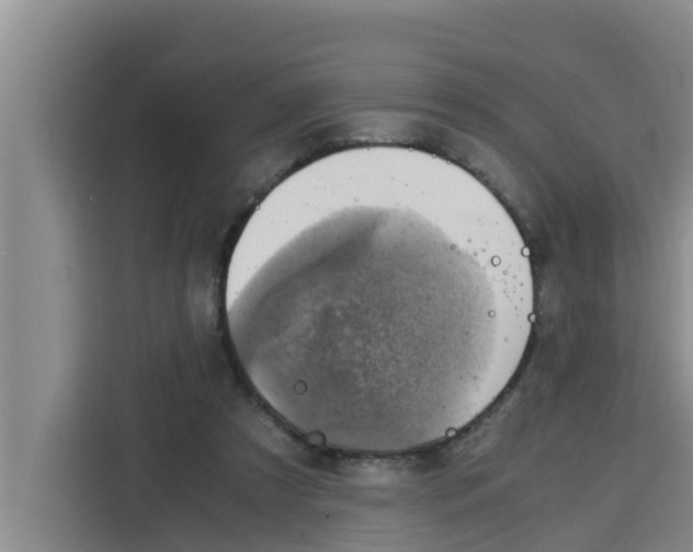 X0000115150305200911241534