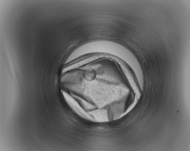 X0000115150308200911241534