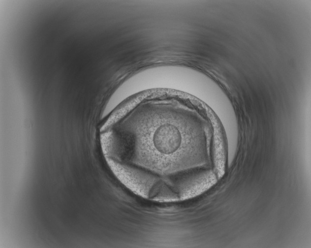 X0000115150309200911241534