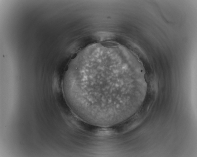 X0000115150316200911241534