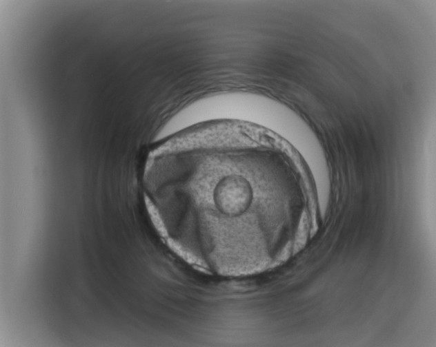 X0000115150320200911241534