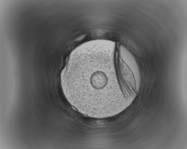 X0000115150324200911241534