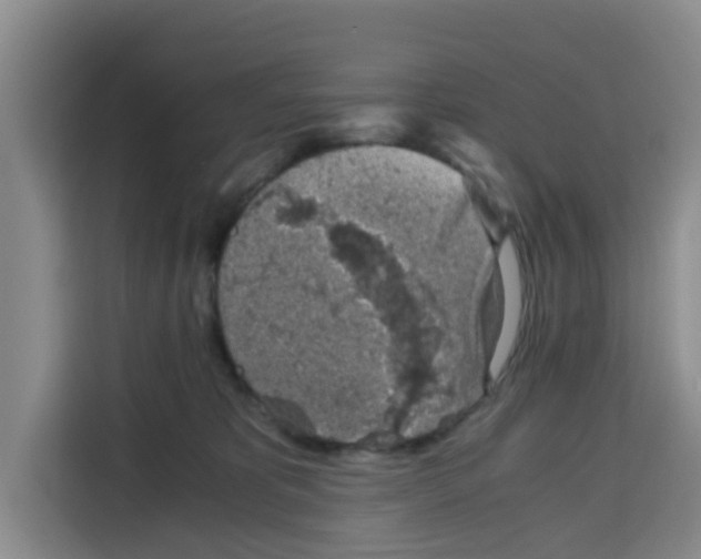 X0000115150325200911241534