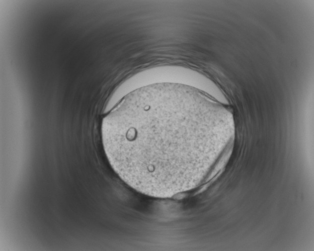 X0000115150327200911241534