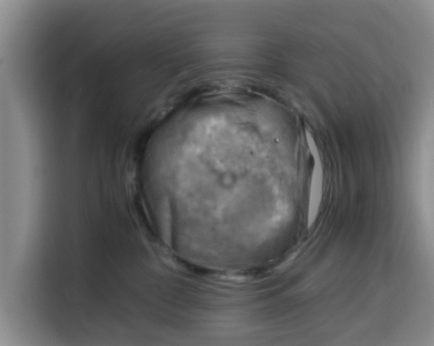 X0000115150332200911241534