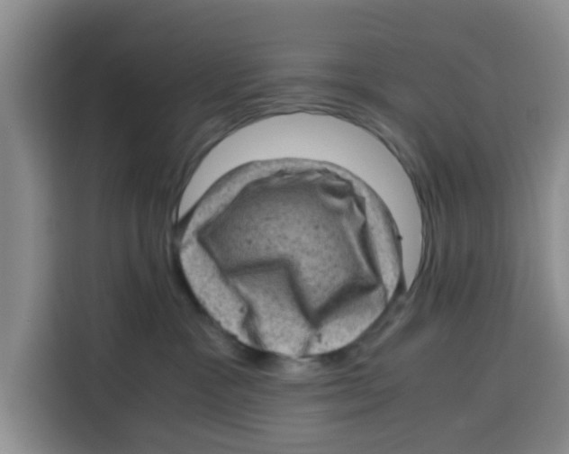 X0000115150333200911241534