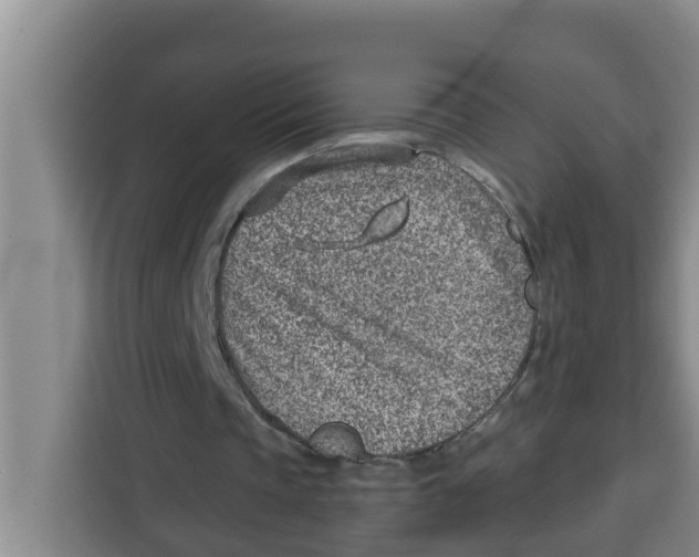 X0000115150337200911241533