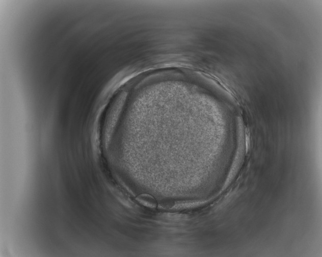 X0000115150339200911241533