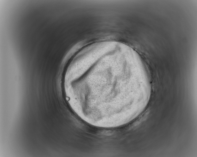 X0000115150341200911241533