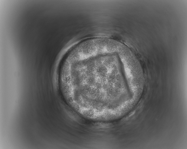 X0000115150343200911241533