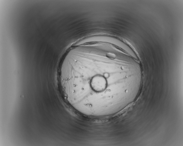 X0000115150345200911241533