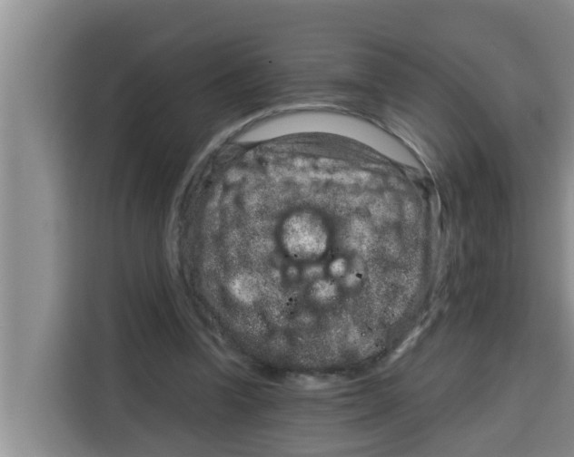 X0000115150346200911241533