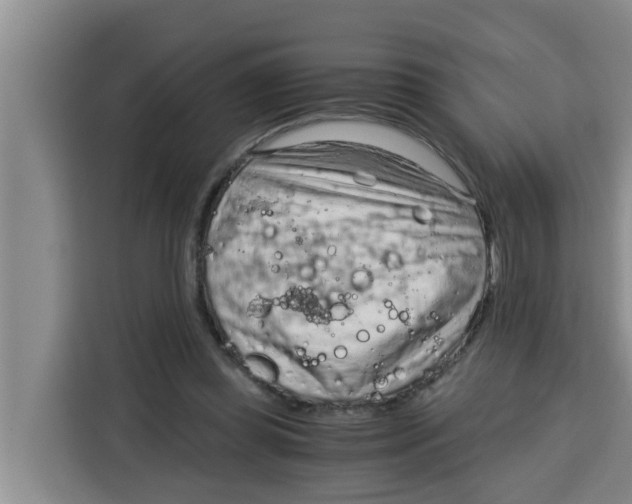 X0000115150349200911241533