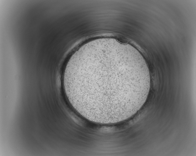 X0000115150350200911241533