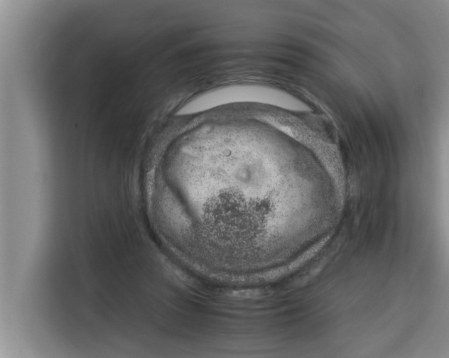 X0000115150353200911241533