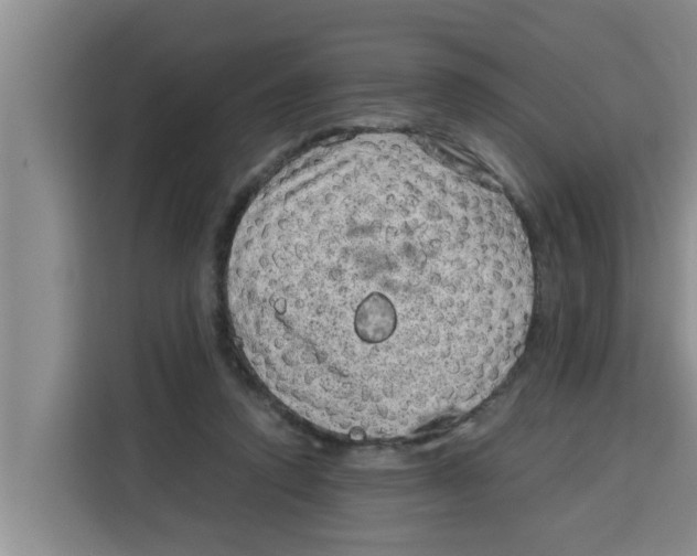 X0000115150354200911241533