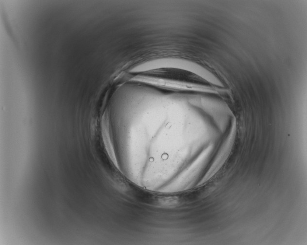 X0000115150355200911241533