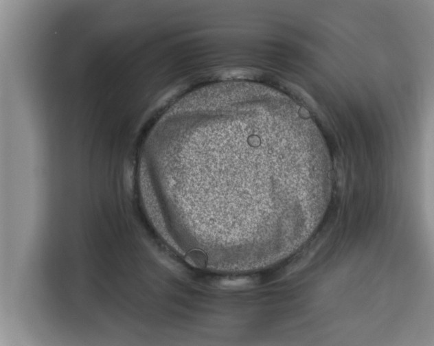 X0000115150357200911241533