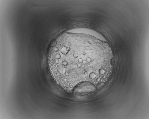 X0000115150359200911241533