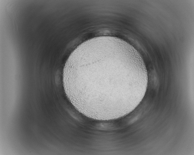 X0000115150361200911241533