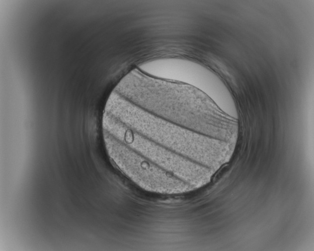 X0000115150362200911241533