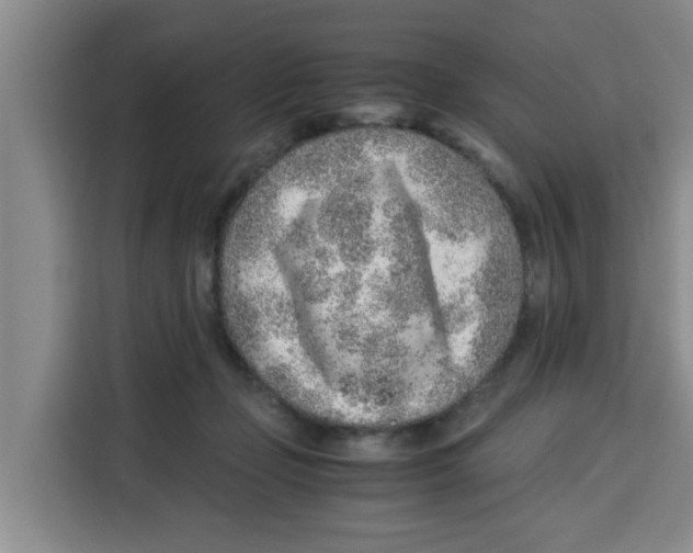 X0000115150365200911241533