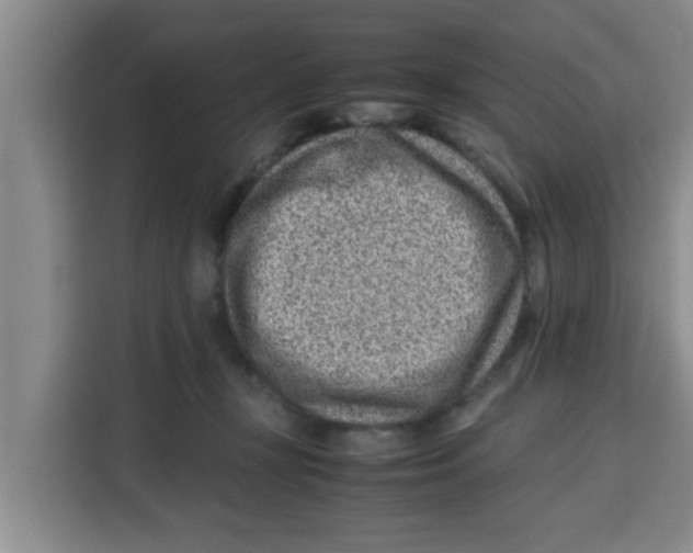 X0000115150367200911241533