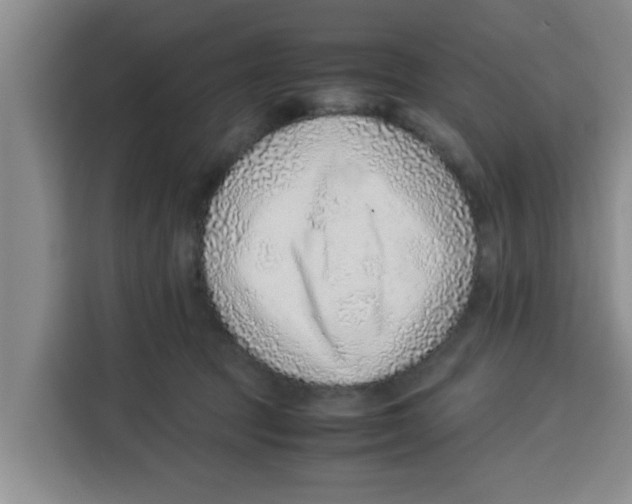 X0000115150369200911241533