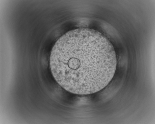 X0000115150370200911241533