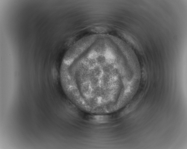 X0000115150371200911241533