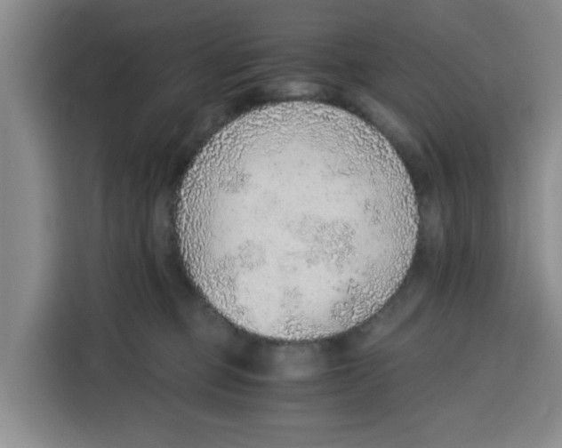 X0000115150373200911241533