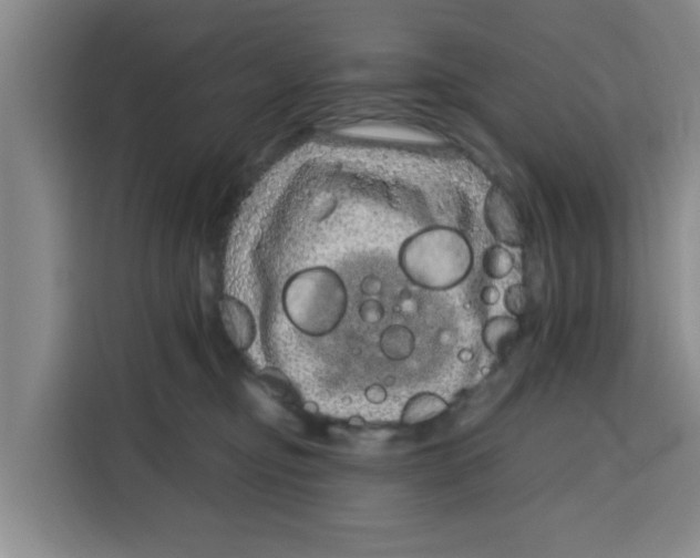 X0000115150374200911241533