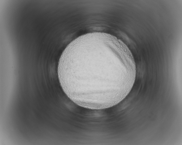 X0000115150377200911241534