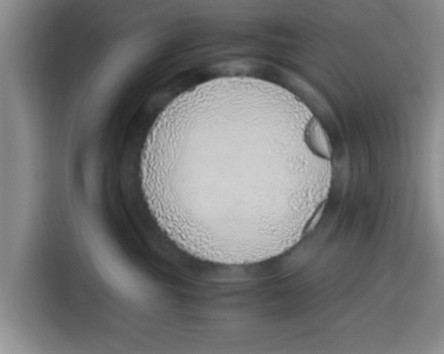 X0000115150381200911241534