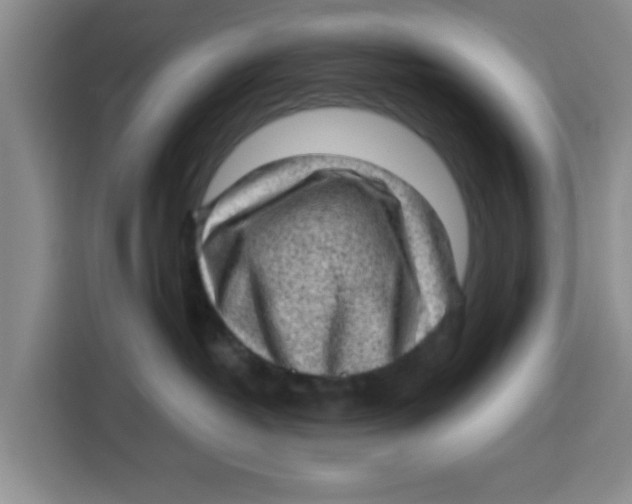 X0000115150382200911241534