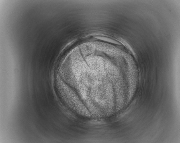 X0000115150386200911241533